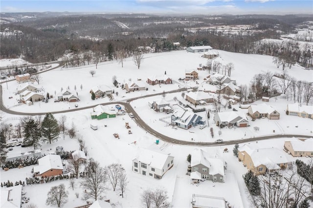 view of snowy aerial view