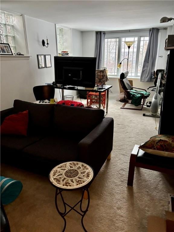 living room with carpet floors