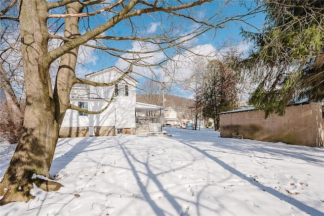 view of yard covered in snow