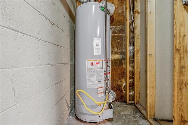 utility room with gas water heater