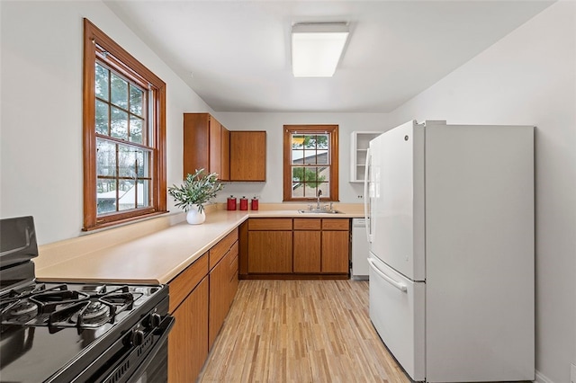 kitchen with plenty of natural light, light hardwood / wood-style floors, white appliances, and sink