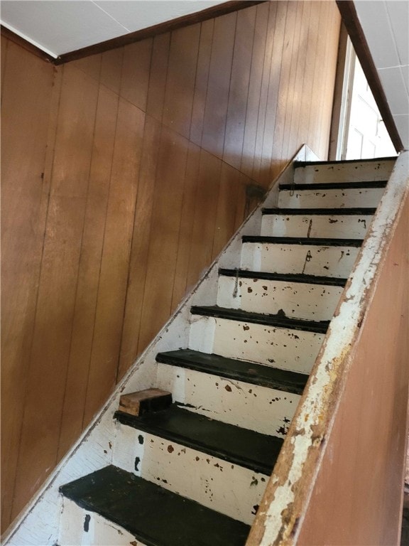 staircase featuring wood walls