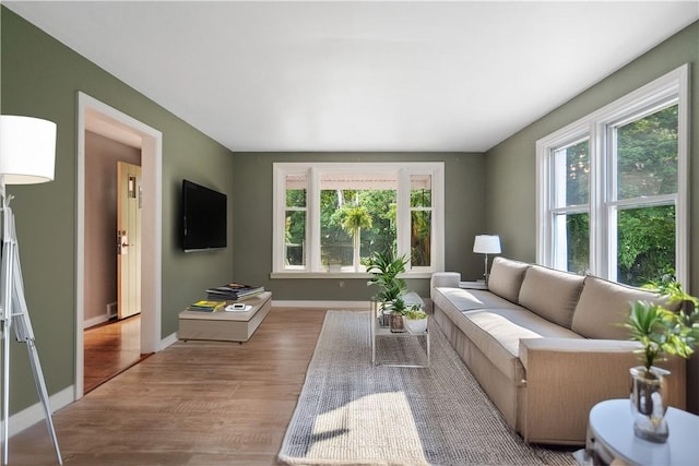 living room with hardwood / wood-style flooring