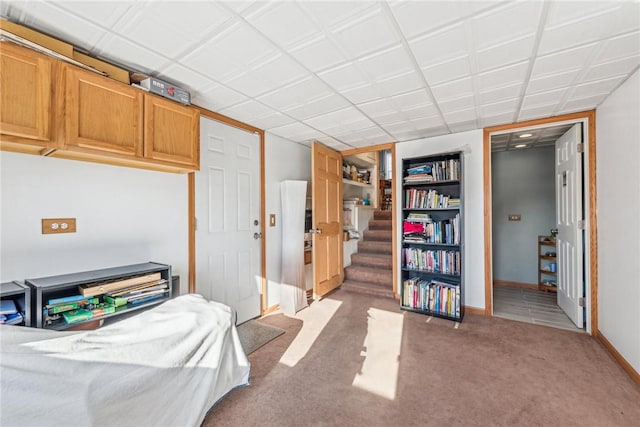 bedroom with light colored carpet