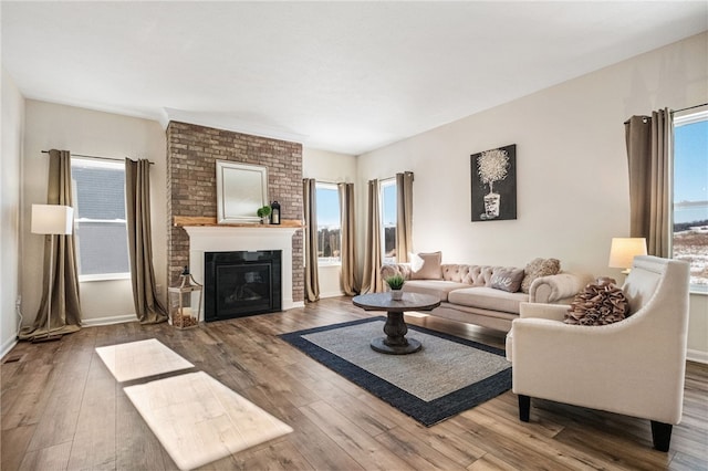 living room with a fireplace and wood-type flooring