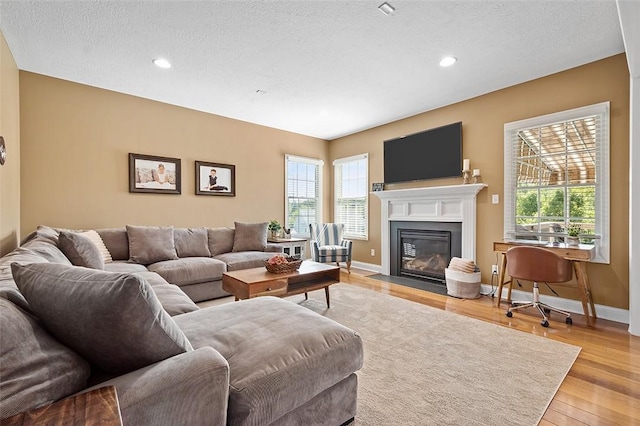 living room featuring a textured ceiling, light hardwood / wood-style flooring, and plenty of natural light