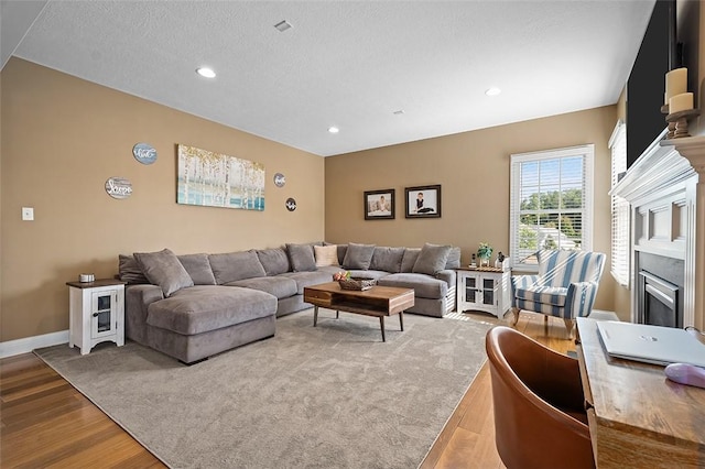 living room featuring hardwood / wood-style floors