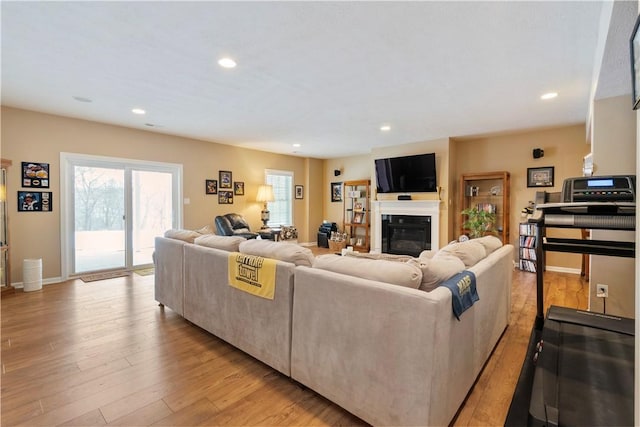 living room featuring light hardwood / wood-style floors