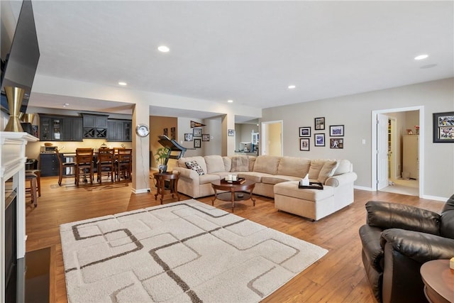 living room featuring hardwood / wood-style flooring