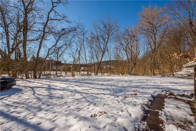 view of yard covered in snow