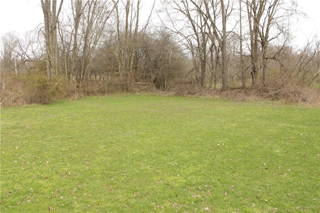 567 Klein Rd, Mill Creek, PA 16145 - view of yard
