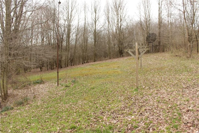 567 Klein Rd, Mill Creek, PA 16145 - view of landscape with a forest view
