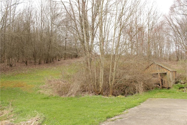 567 Klein Rd, Mill Creek, PA 16145 - view of yard