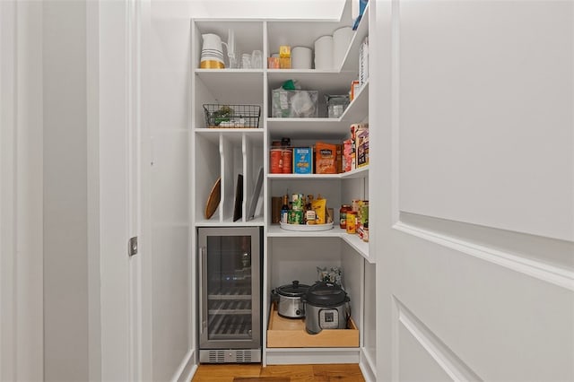 pantry with beverage cooler