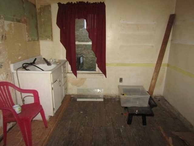 interior space with sink and hardwood / wood-style flooring