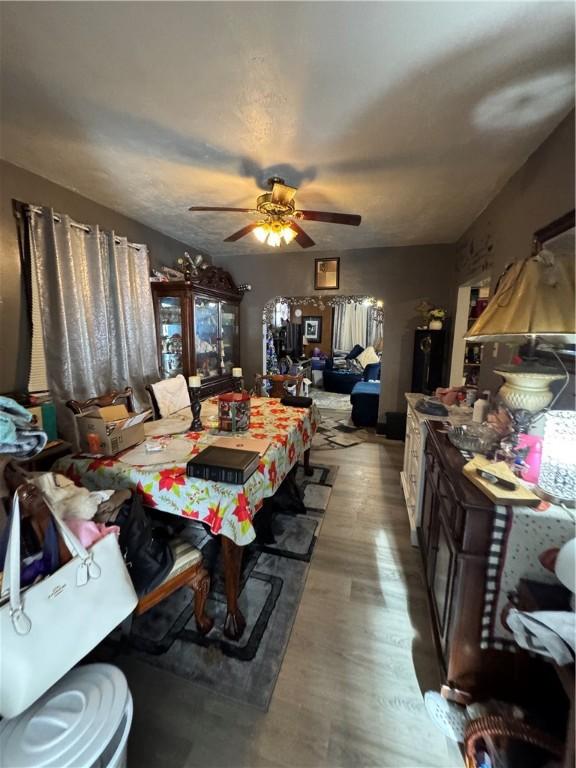 dining area featuring ceiling fan