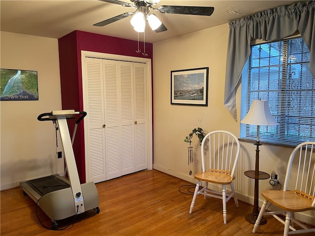 living area with ceiling fan and wood-type flooring