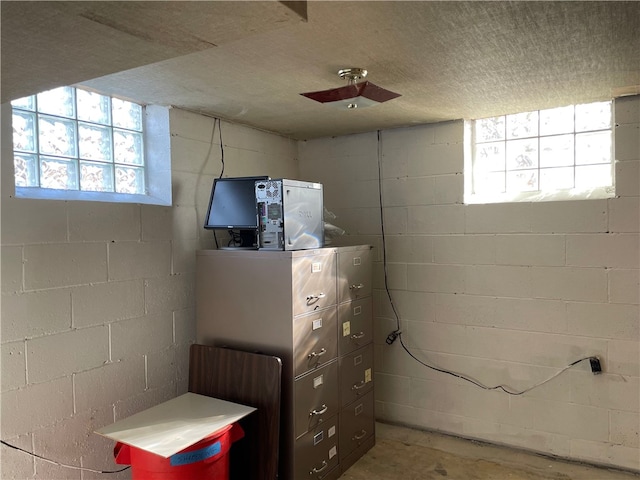 basement with plenty of natural light