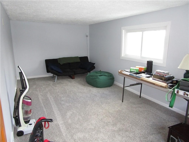 office space with a textured ceiling and carpet flooring