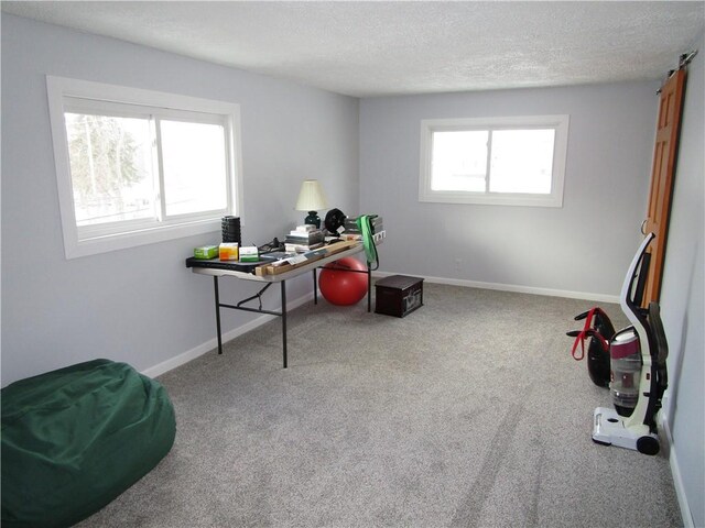 view of carpeted office space