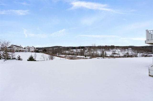 view of snowy yard