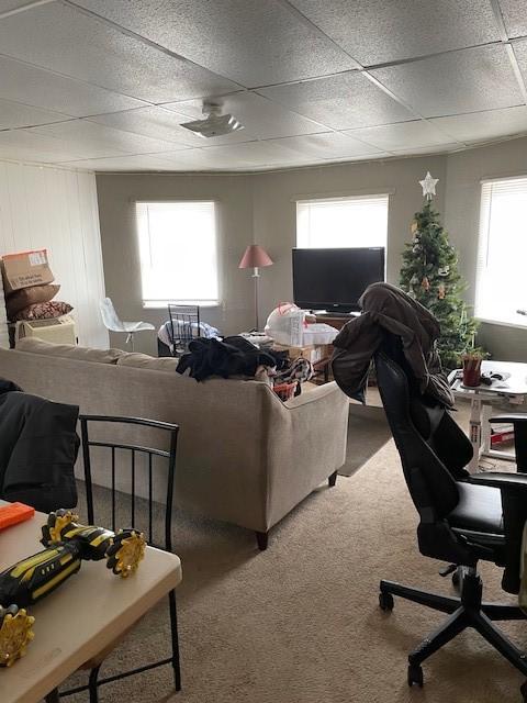 living room featuring a wealth of natural light and carpet