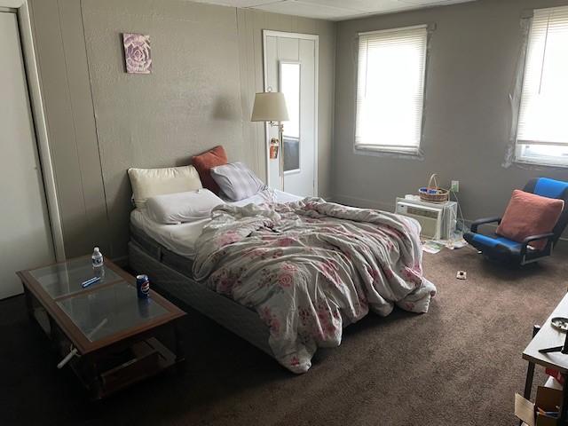 bedroom featuring multiple windows and carpet floors