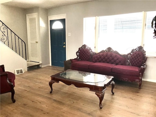 living room featuring a healthy amount of sunlight and hardwood / wood-style flooring