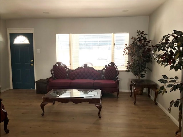 living room featuring hardwood / wood-style floors