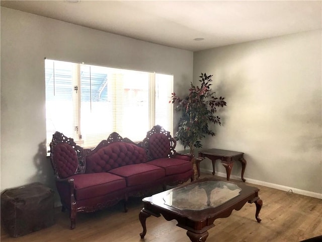 living room with wood-type flooring