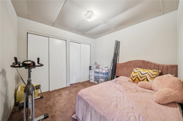841 Brackenridge Ave, Brackenridge, PA 15014 - carpeted bedroom featuring two closets