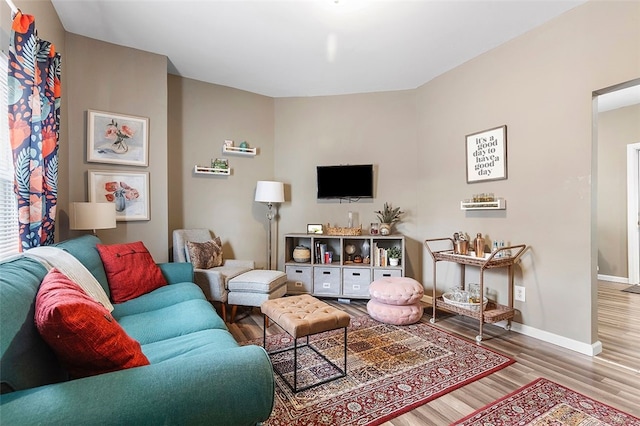 living room with wood-type flooring