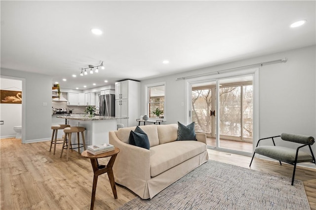 living room featuring light hardwood / wood-style floors