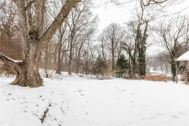 view of yard layered in snow