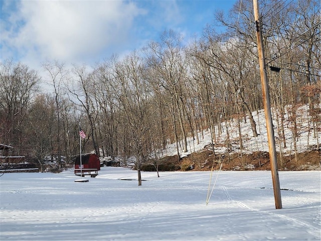 view of snowy yard