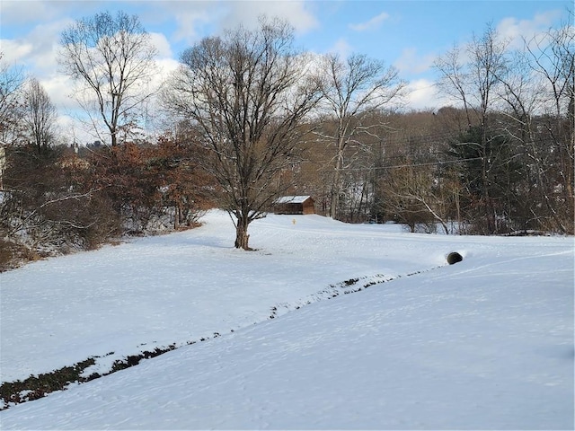 view of yard layered in snow