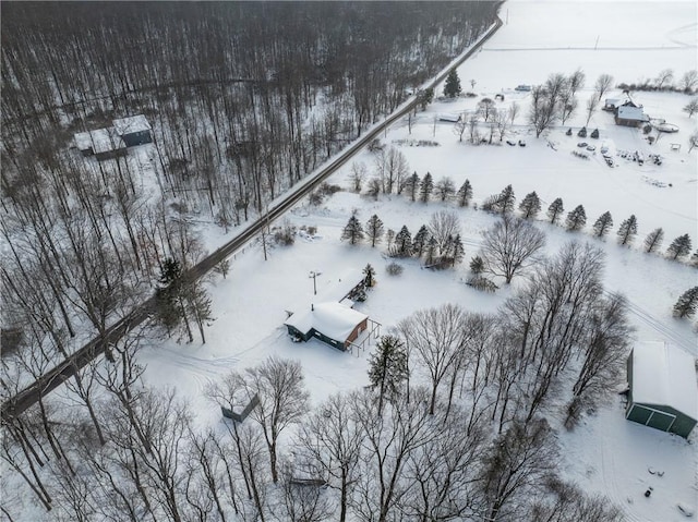 view of snowy aerial view