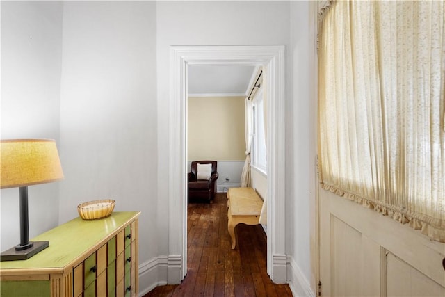 hallway with crown molding and dark hardwood / wood-style flooring