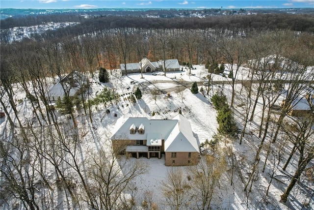 view of snowy aerial view