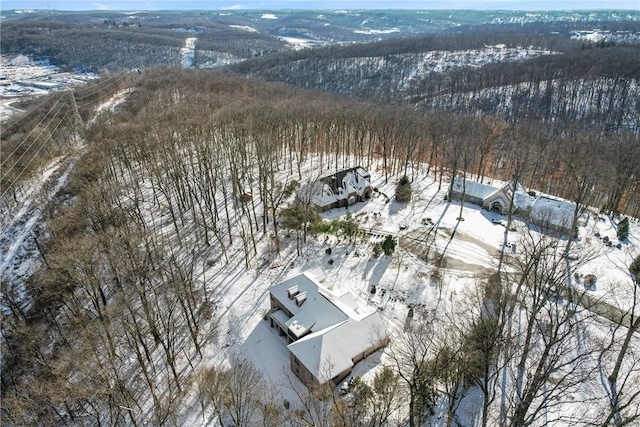 view of snowy aerial view