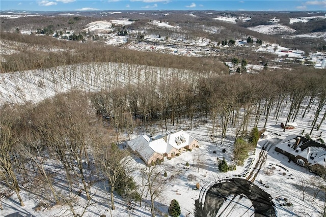 view of snowy aerial view