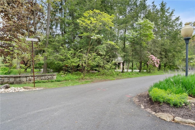145 Cedar Rdg, Center Twp But, PA 16001 - view of asphalt road with street lights