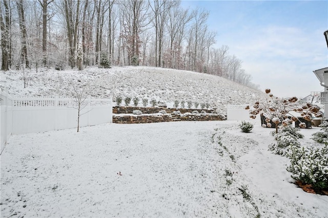 view of yard layered in snow