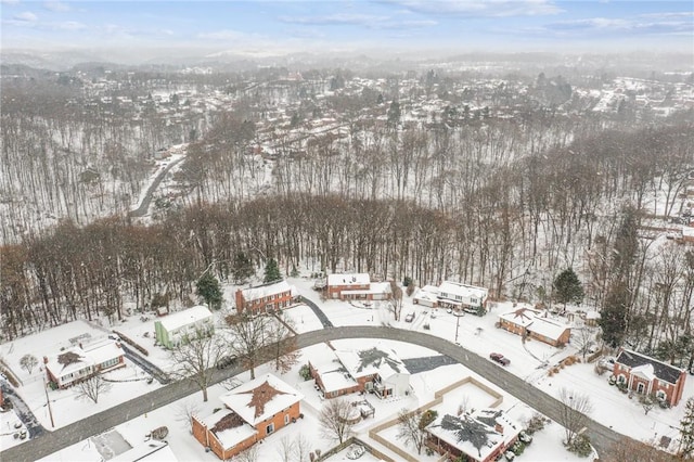 view of snowy aerial view