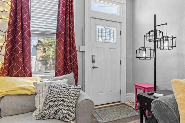 entryway with wood-type flooring and a wealth of natural light