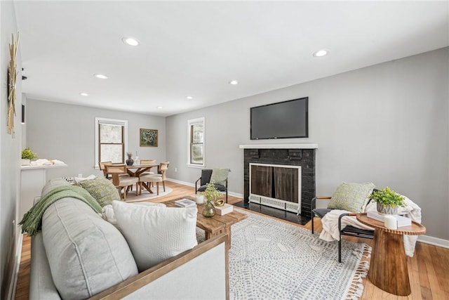 living room featuring wood-type flooring