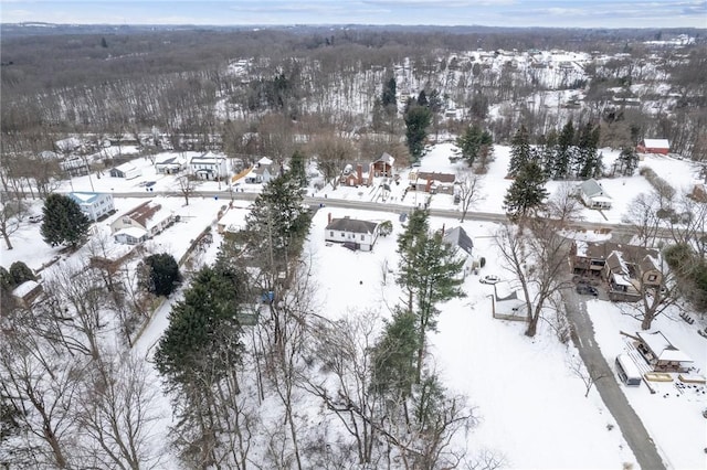 view of snowy aerial view