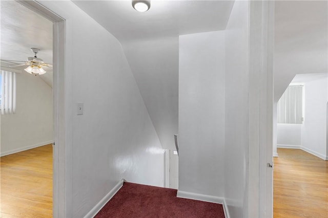 stairway featuring ceiling fan, lofted ceiling, and hardwood / wood-style flooring