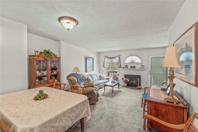 living room with a textured ceiling and carpet