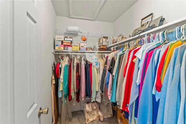 spacious closet with carpet floors